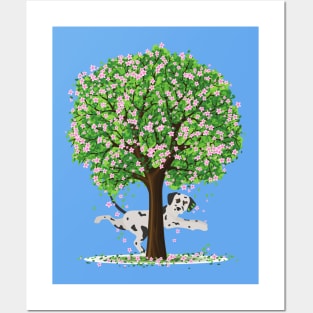 Dalmatian Dog Under Spring Tree Posters and Art